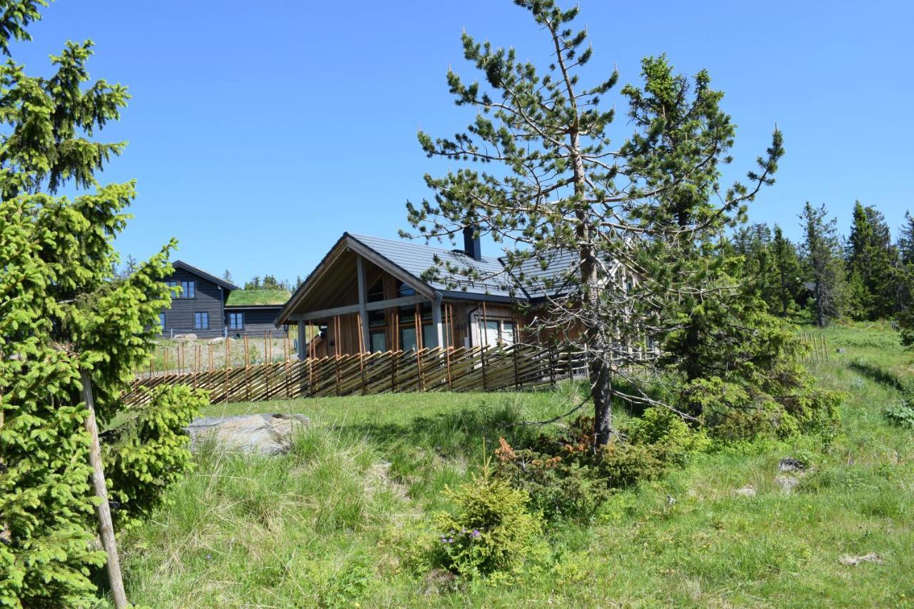 Skeikampen Booking Svingvoll Exterior photo